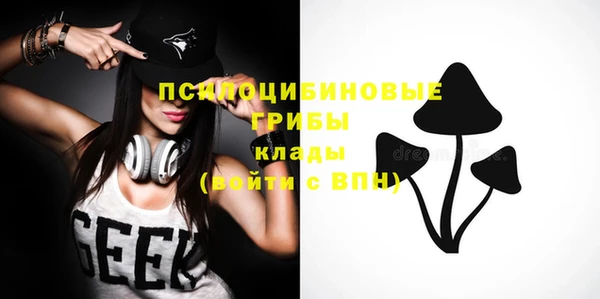 spice Коряжма