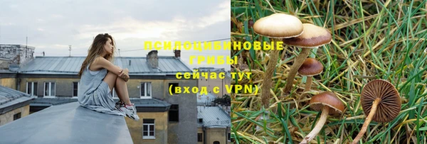 дмт Краснотурьинск