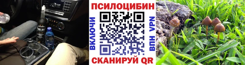 где продают   Фокино  Псилоцибиновые грибы мухоморы 